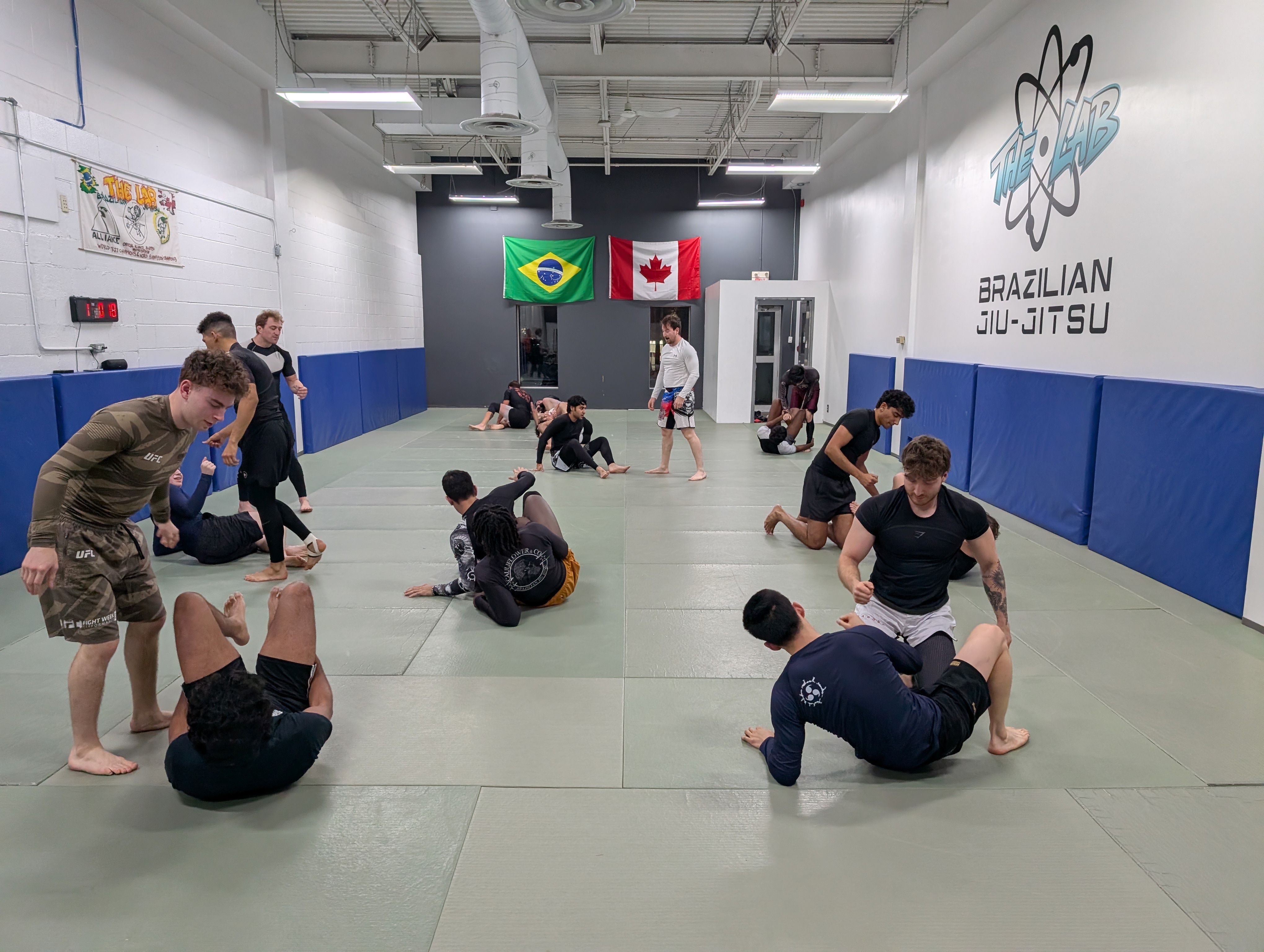 Live sparring session